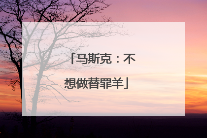 马斯克：不想做替罪羊