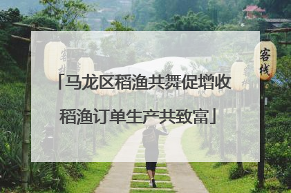 马龙区稻渔共舞促增收 稻渔订单生产共致富
