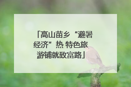 高山苗乡“避暑经济”热 特色旅游铺就致富路