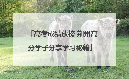 高考成绩放榜 荆州高分学子分享学习秘籍