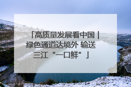 高质量发展看中国｜绿色通道达境外 输送三江“一口鲜”