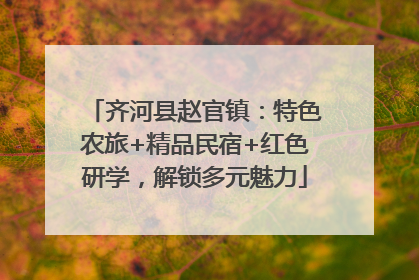 齐河县赵官镇：特色农旅+精品民宿+红色研学，解锁多元魅力