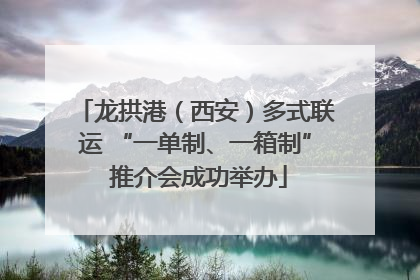 龙拱港（西安）多式联运 “一单制、一箱制” 推介会成功举办