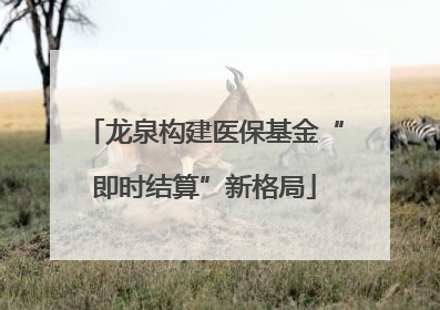 龙泉构建医保基金“即时结算”新格局