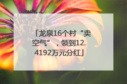 龙泉16个村“卖空气”，领到12.4192万元分红