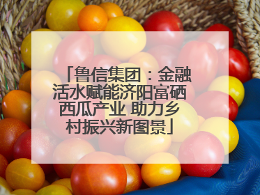 鲁信集团：金融活水赋能济阳富硒西瓜产业 助力乡村振兴新图景