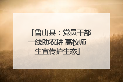 鲁山县：党员干部一线助农耕 高校师生宣传护生态