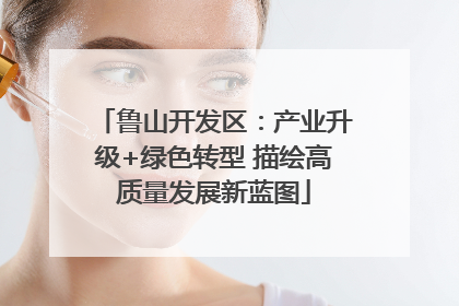 鲁山开发区：产业升级+绿色转型 描绘高质量发展新蓝图