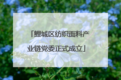 鲤城区纺织面料产业链党委正式成立