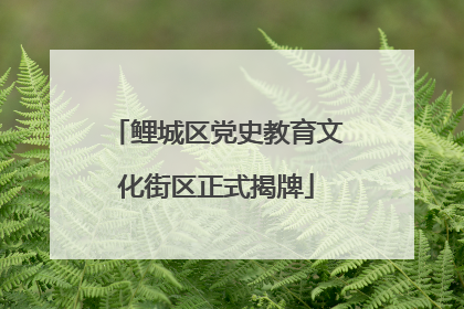 鲤城区党史教育文化街区正式揭牌
