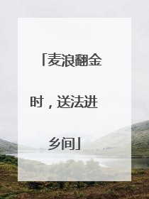 麦浪翻金时，送法进乡间