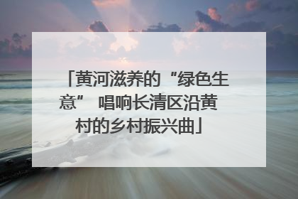 黄河滋养的“绿色生意” 唱响长清区沿黄村的乡村振兴曲