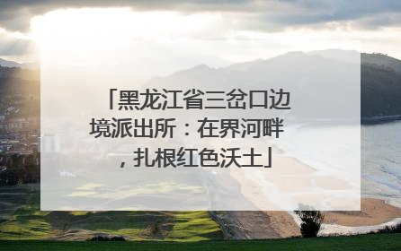 黑龙江省三岔口边境派出所：在界河畔，扎根红色沃土