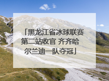 黑龙江省冰球联赛第二站收官 齐齐哈尔兰迪一队夺冠