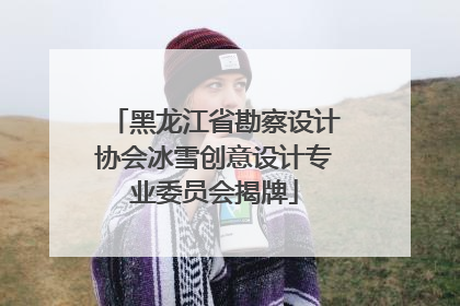 黑龙江省勘察设计协会冰雪创意设计专业委员会揭牌