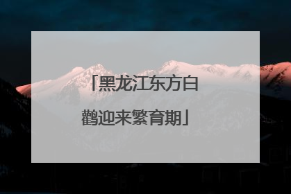 黑龙江东方白鹳迎来繁育期