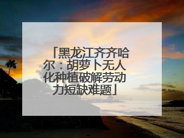 黑龙江齐齐哈尔：胡萝卜无人化种植破解劳动力短缺难题