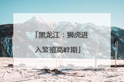 黑龙江：狮虎进入繁殖高峰期