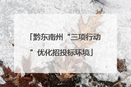 黔东南州“三项行动”优化招投标环境