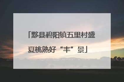 黟县碧阳镇五里村盛夏桃熟好“丰”景