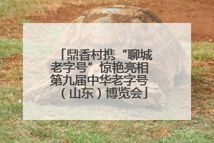 鼎香村携“聊城老字号”惊艳亮相第九届中华老字号（山东）博览会