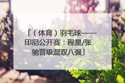 （体育）羽毛球——印尼公开赛：程星/张驰晋级混双八强