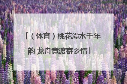 （体育）桃花潭水千年韵 龙舟竞渡寄乡情