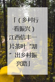 （乡村行·看振兴）江西信丰一片茶叶“沏”出乡村振兴路