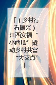 （乡村行·看振兴）江西安福“小西瓜”撬动乡村共富“大支点”