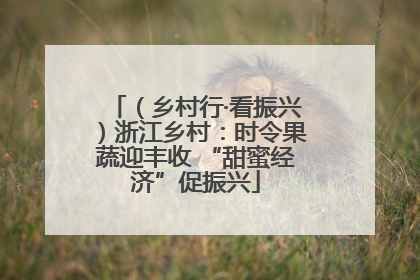（乡村行·看振兴）浙江乡村：时令果蔬迎丰收 “甜蜜经济”促振兴