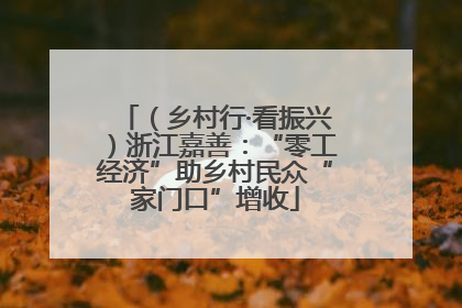 （乡村行·看振兴）浙江嘉善：“零工经济”助乡村民众“家门口”增收