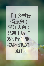 （乡村行·看振兴）浙江天台：共富工坊“双引擎”驱动乡村振兴路