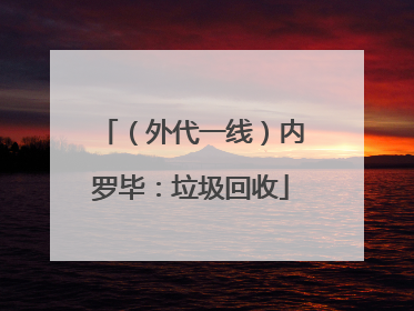 （外代一线）内罗毕：垃圾回收