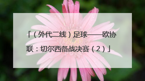 （外代二线）足球——欧协联：切尔西备战决赛（2）