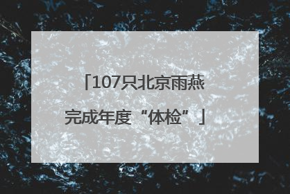 107只北京雨燕完成年度“体检”