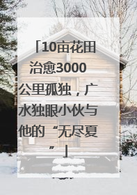 10亩花田治愈3000公里孤独，广水独眼小伙与他的“无尽夏”