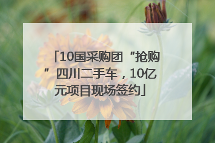 10国采购团“抢购”四川二手车，10亿元项目现场签约