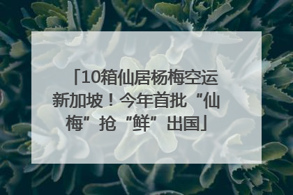 10箱仙居杨梅空运新加坡！今年首批“仙梅”抢“鲜”出国