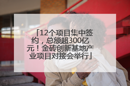 12个项目集中签约，总额超300亿元！金砖创新基地产业项目对接会举行