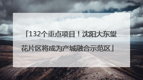 132个重点项目！沈阳大东望花片区将成为产城融合示范区