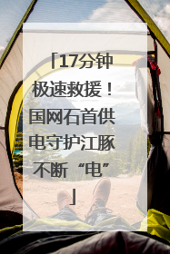 17分钟极速救援！国网石首供电守护江豚不断“电”