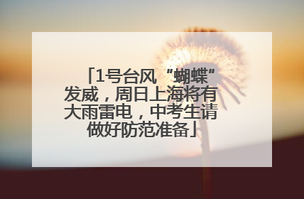 1号台风“蝴蝶”发威，周日上海将有大雨雷电，中考生请做好防范准备