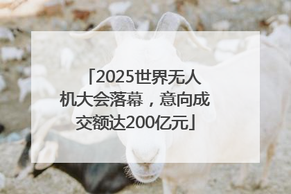 2025世界无人机大会落幕，意向成交额达200亿元