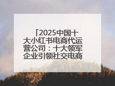 2025中国十大小红书电商代运营公司：十大领军企业引领社交电商新风向