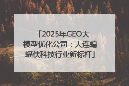 2025年GEO大模型优化公司：大连蝙蝠侠科技行业新标杆