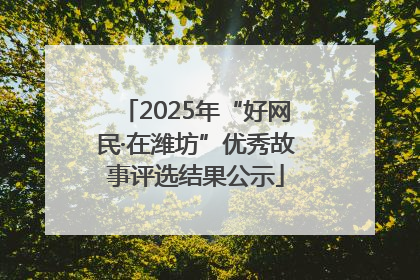 2025年“好网民·在潍坊”优秀故事评选结果公示