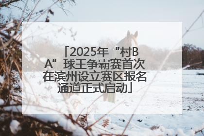 2025年“村BA”球王争霸赛首次在滨州设立赛区报名通道正式启动