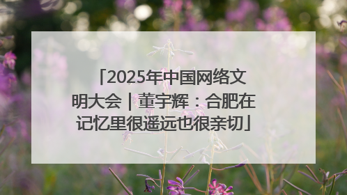 2025年中国网络文明大会｜董宇辉：合肥在记忆里很遥远也很亲切