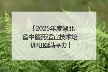 2025年度湖北省中医药适宜技术培训班圆满举办