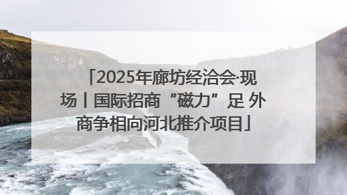 2025年廊坊经洽会·现场丨国际招商“磁力”足 外商争相向河北推介项目